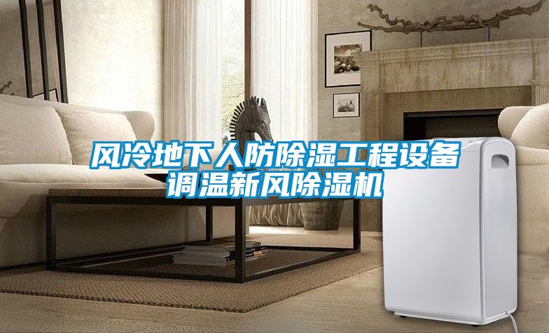 風冷地下人防除濕工程設備調溫新風除濕機