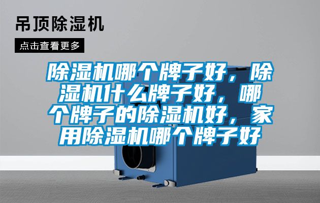 除濕機哪個牌子好，除濕機什么牌子好，哪個牌子的除濕機好，家用除濕機哪個牌子好