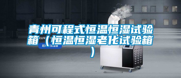 青州可程式恒溫恒濕試驗箱（恒溫恒濕老化試驗箱）