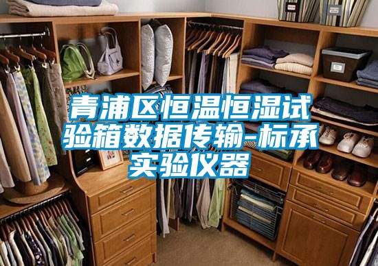 青浦區(qū)恒溫恒濕試驗箱數(shù)據(jù)傳輸-標承實驗儀器
