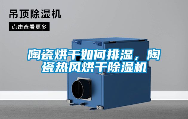 陶瓷烘干如何排濕，陶瓷熱風烘干除濕機