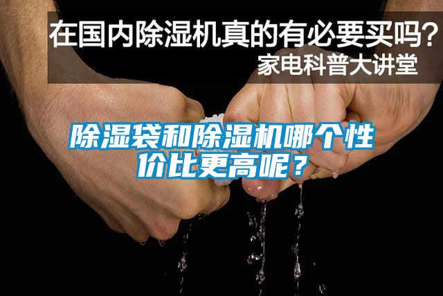 除濕袋和除濕機哪個性價比更高呢?