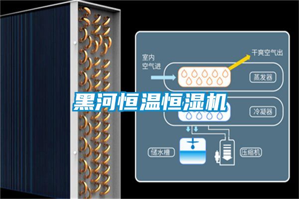 黑河恒溫恒濕機(jī)