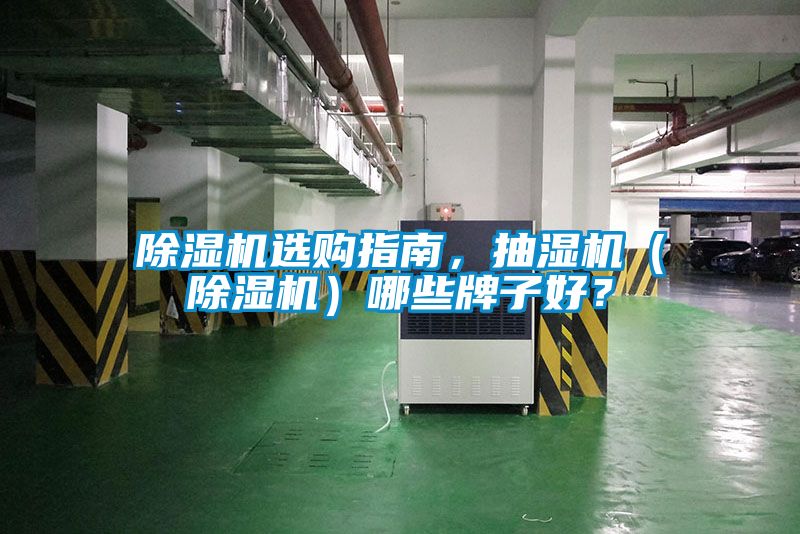 除濕機選購指南，抽濕機（除濕機）哪些牌子好？