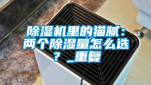 除濕機(jī)里的貓膩：兩個除濕量怎么選？_重復(fù)