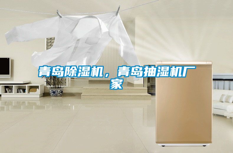 青島除濕機,青島抽濕機廠家
