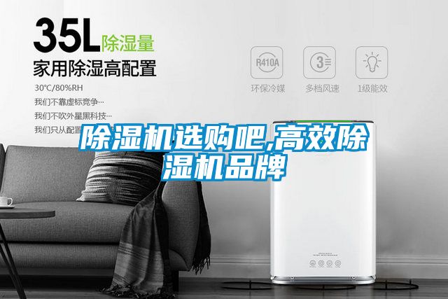 除濕機選購吧,高效除濕機品牌