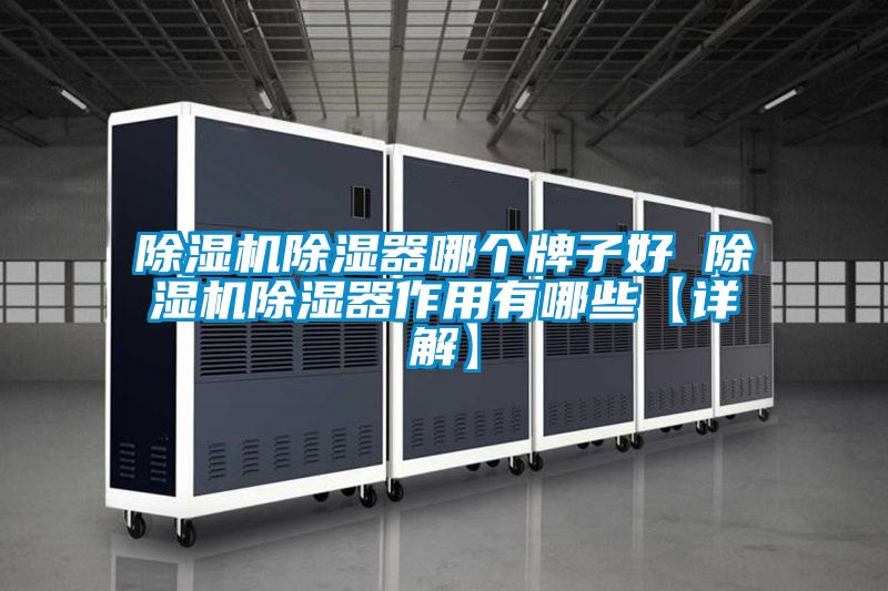 除濕機除濕器哪個牌子好 除濕機除濕器作用有哪些【詳解】