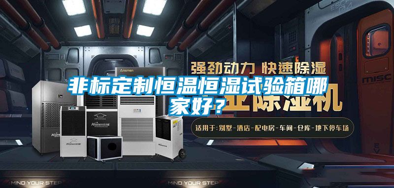 非標定制恒溫恒濕試驗箱哪家好?