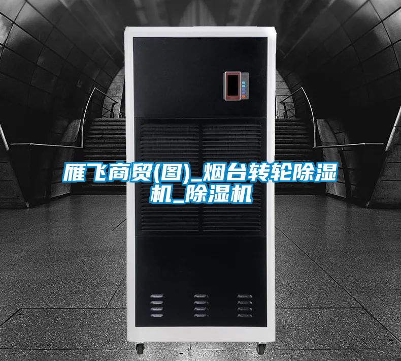 雁飛商貿(mào)(圖)_煙臺(tái)轉(zhuǎn)輪除濕機(jī)_除濕機(jī)