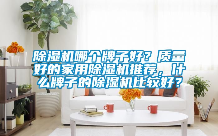 除濕機(jī)哪個(gè)牌子好？質(zhì)量好的家用除濕機(jī)推薦，什么牌子的除濕機(jī)比較好？