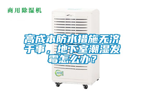 高成本防水措施無濟于事,地下室潮濕發霉怎么辦?