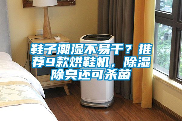 鞋子潮濕不易干？推薦9款烘鞋機，除濕除臭還可殺菌