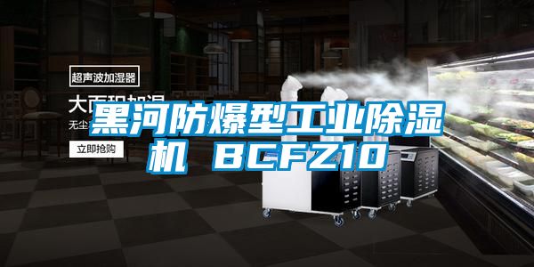 黑河防爆型工業除濕機 BCFZ10