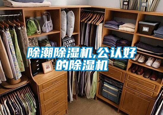除潮除濕機(jī),公認(rèn)好的除濕機(jī)