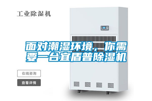 面對(duì)潮濕環(huán)境，你需要一臺(tái)宜盾普除濕機(jī)