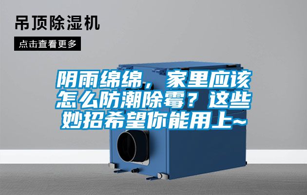 陰雨綿綿，家里應該怎么防潮除霉？這些妙招希望你能用上~