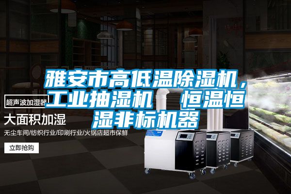 雅安市高低溫除濕機(jī),工業(yè)抽濕機(jī) 恒溫恒濕非標(biāo)機(jī)器