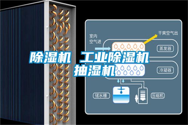 除濕機 工業(yè)除濕機 抽濕機