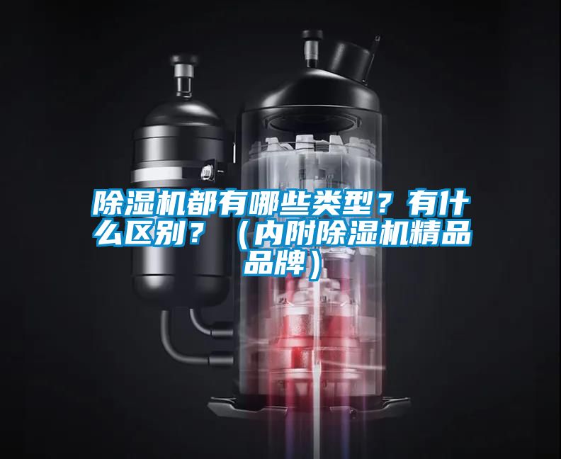 除濕機都有哪些類型？有什么區別？（內附除濕機精品品牌）