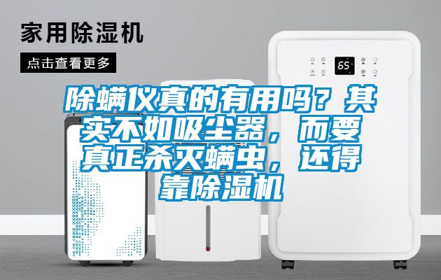 除螨儀真的有用嗎？其實不如吸塵器，而要真正殺滅螨蟲，還得靠除濕機