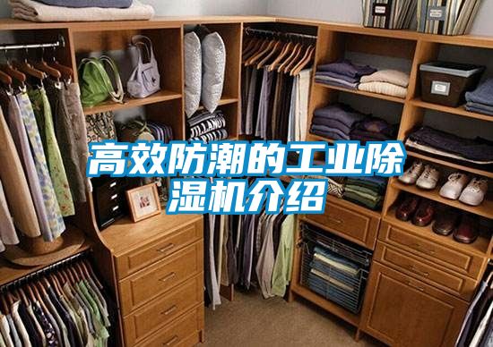 高效防潮的工業除濕機介紹