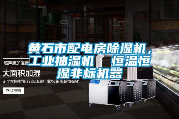 黃石市配電房除濕機，工業抽濕機  恒溫恒濕非標機器