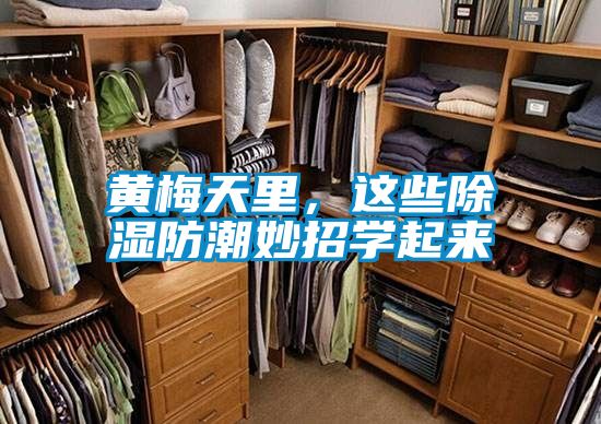 黃梅天里，這些除濕防潮妙招學(xué)起來
