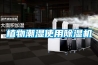植物潮濕使用除濕機