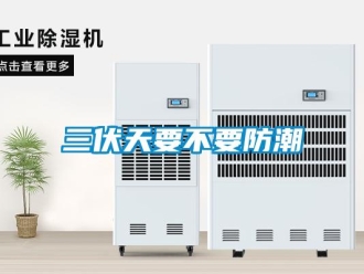 行業新聞三伏天要不要防潮