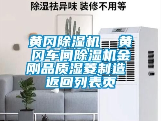 企業新聞黃岡除濕機  黃岡車間除濕機金剛品質濕菱制造 返回列表頁