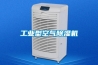 工業型空氣除濕機