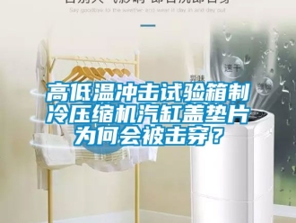 常見(jiàn)問(wèn)題高低溫沖擊試驗(yàn)箱制冷壓縮機(jī)汽缸蓋墊片為何會(huì)被擊穿？