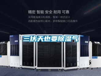 行業新聞三伏天也要除濕氣