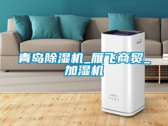 行業新聞青島除濕機_雁飛商貿_加濕機