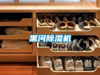 行業新聞黑河除濕機