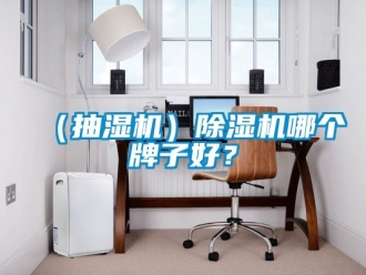 企業新聞（抽濕機）除濕機哪個牌子好？
