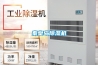 秦皇島除濕機