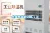 商業(yè)除濕機(jī)90L／d