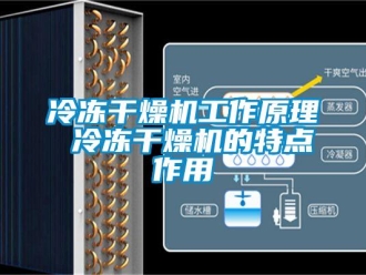 行業新聞冷凍干燥機工作原理 冷凍干燥機的特點作用