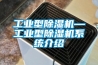 工業(yè)型除濕機(jī)—工業(yè)型除濕機(jī)系統(tǒng)介紹