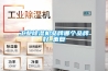 工業(yè)除濕機(jī)品牌哪個(gè)品牌好_重復(fù)