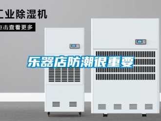 行業新聞樂器店防潮很重要