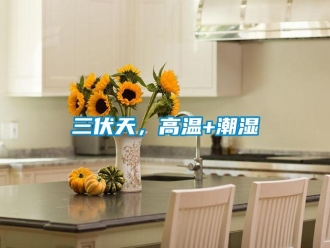 行業新聞三伏天，高溫+潮濕