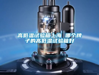 常見問題高低溫試驗箱上海 哪個牌子的高低溫試驗箱好