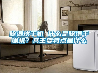 企業(yè)新聞除濕烘干機(jī) 什么是除濕干燥機(jī)？其主要特點(diǎn)是什么