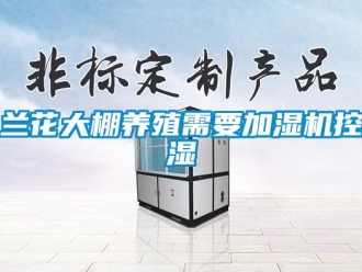 行業新聞蘭花大棚養殖需要加濕機控濕