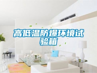 企業(yè)新聞高低溫防爆環(huán)境試驗箱