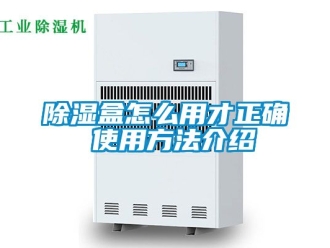 企業(yè)新聞除濕盒怎么用才正確 使用方法介紹