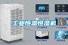 工業(yè)恒溫恒濕機(jī)